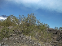 anobello-04032012 137